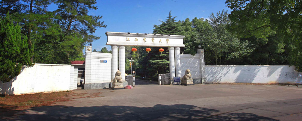 ũ滮Ƽ
